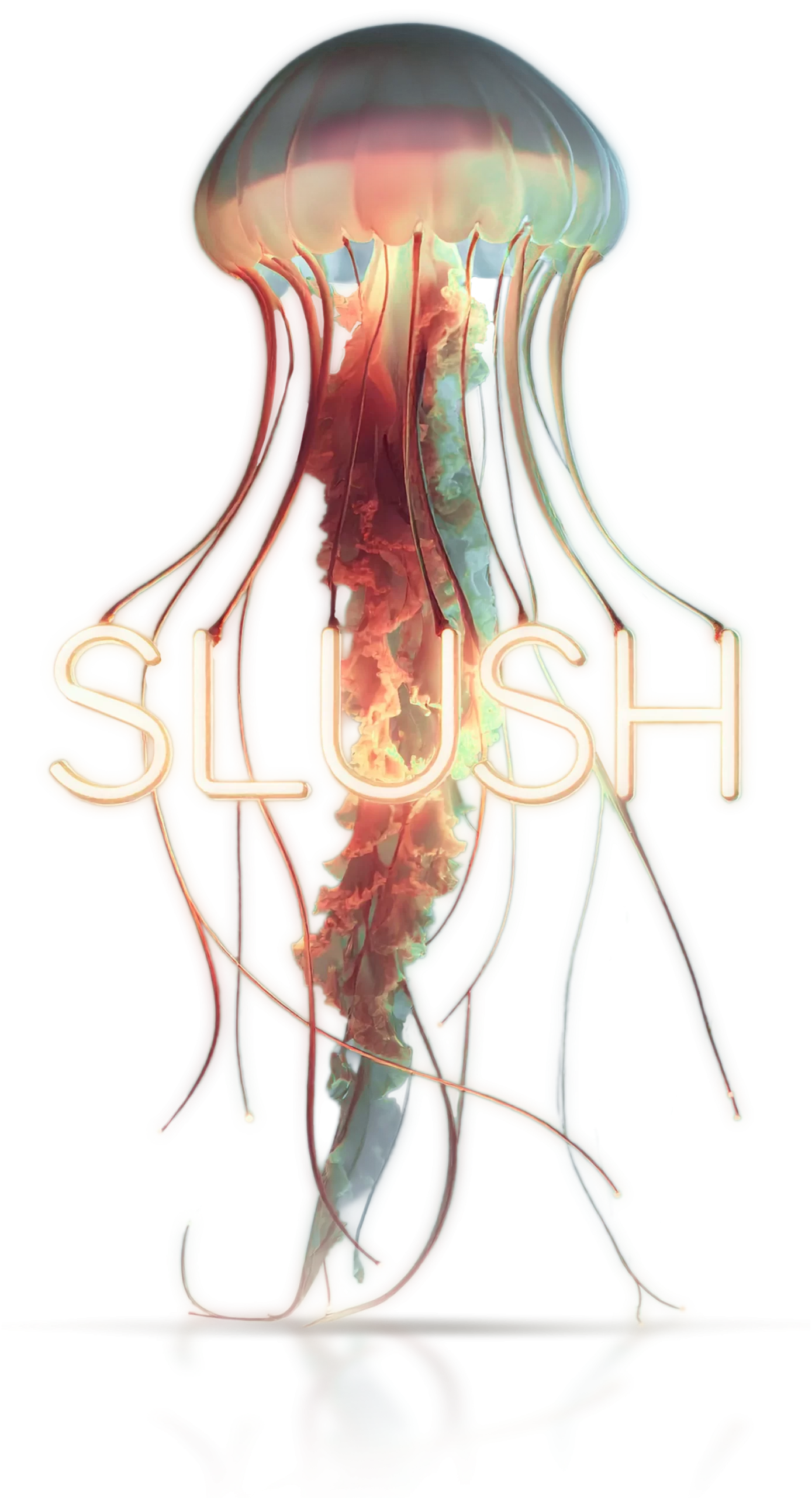 jellyfish