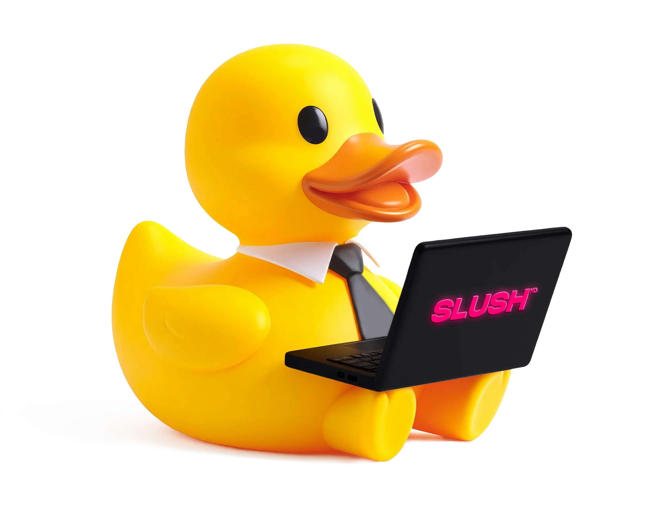 agence-marketing-numerique-slush-marketing-rubber-duck-after