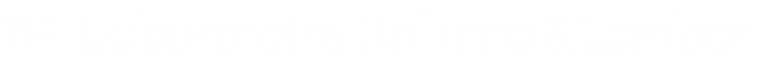 bellomo-logo-white 1