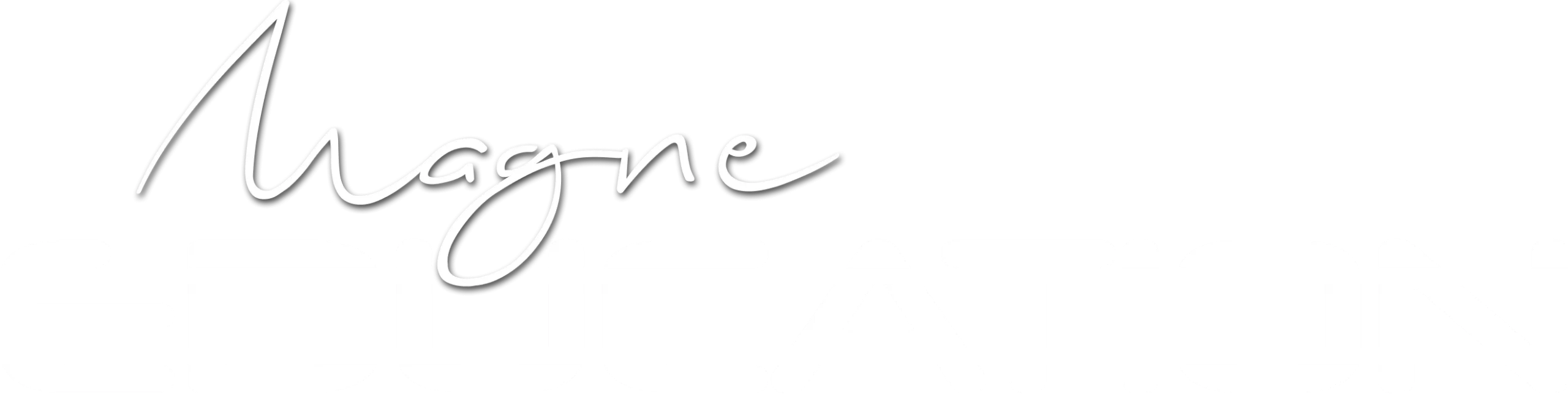 magne-education-logo-magne-education-white 1