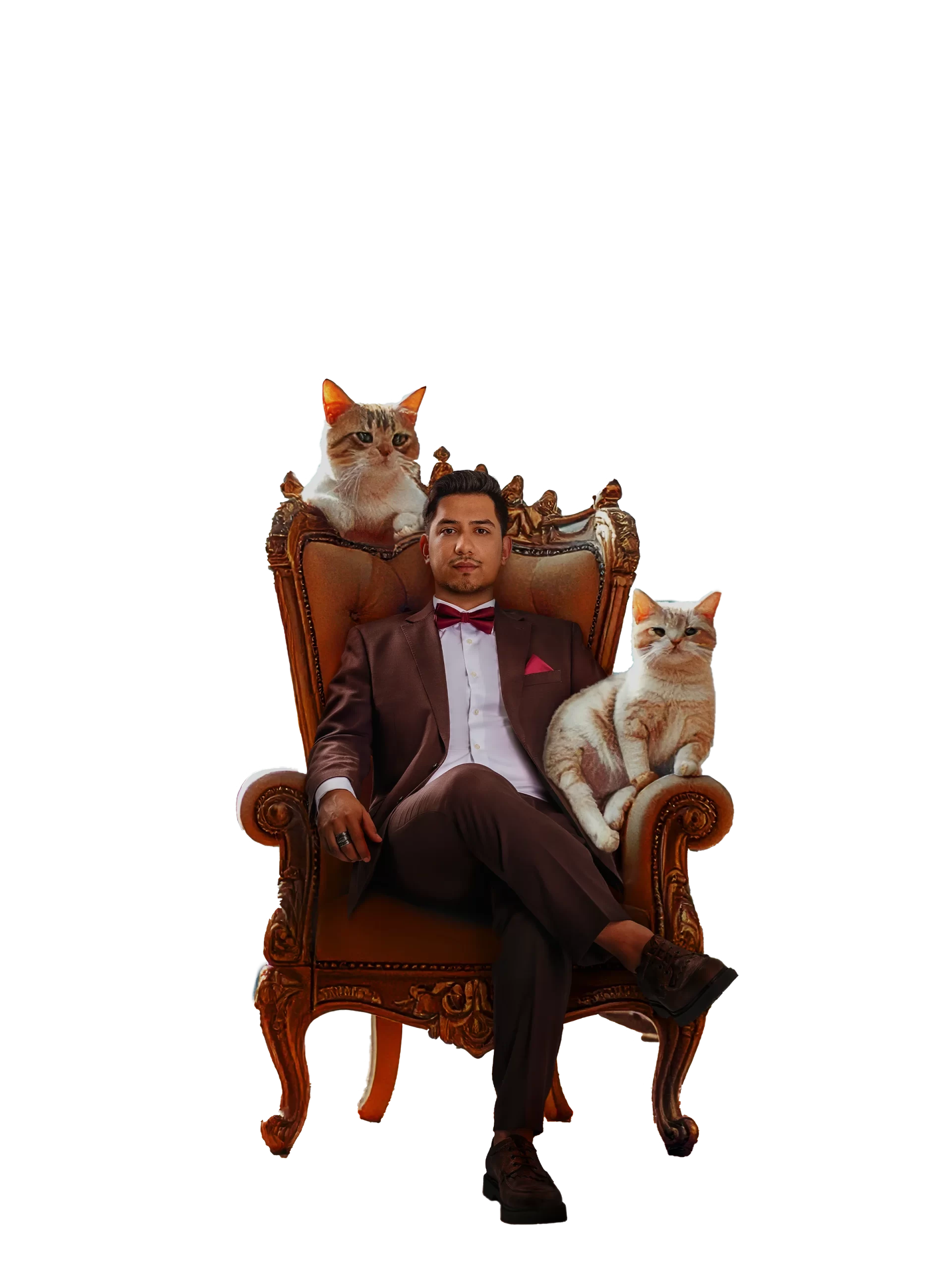homme assis sur un throne avec chat